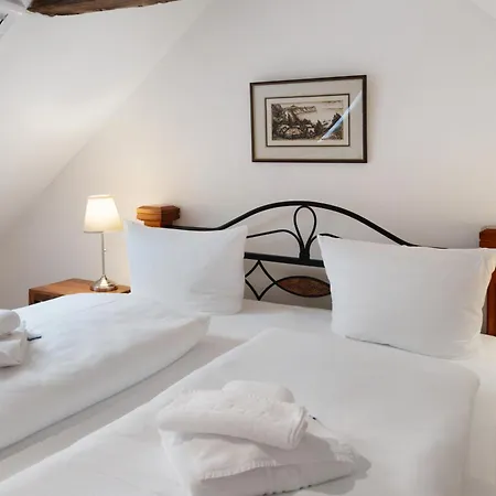 Gut Rattelvitz - Galerie Ost Gingst