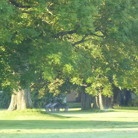 Gut Rattelvitz - Galerie Ost * Gingst