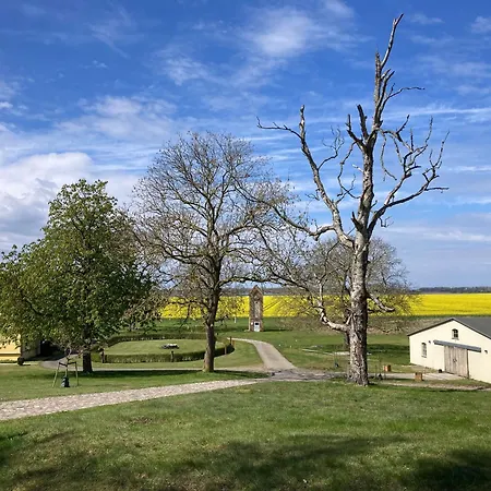 Gut Rattelvitz - Galerie Ost